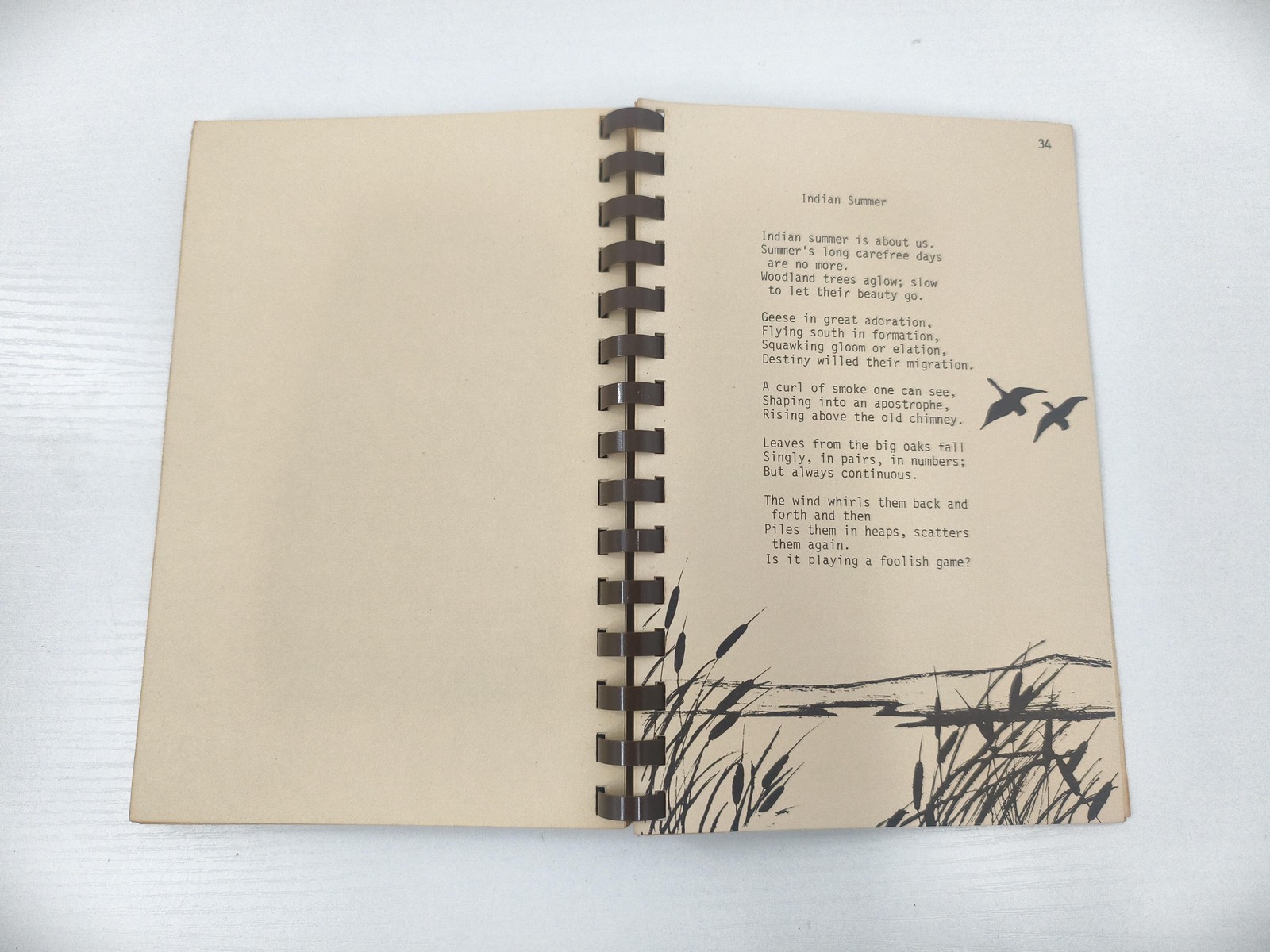 Vintage 1985 Calm Streams Elizabeth Braswell Poetry North Carolina Chapbook