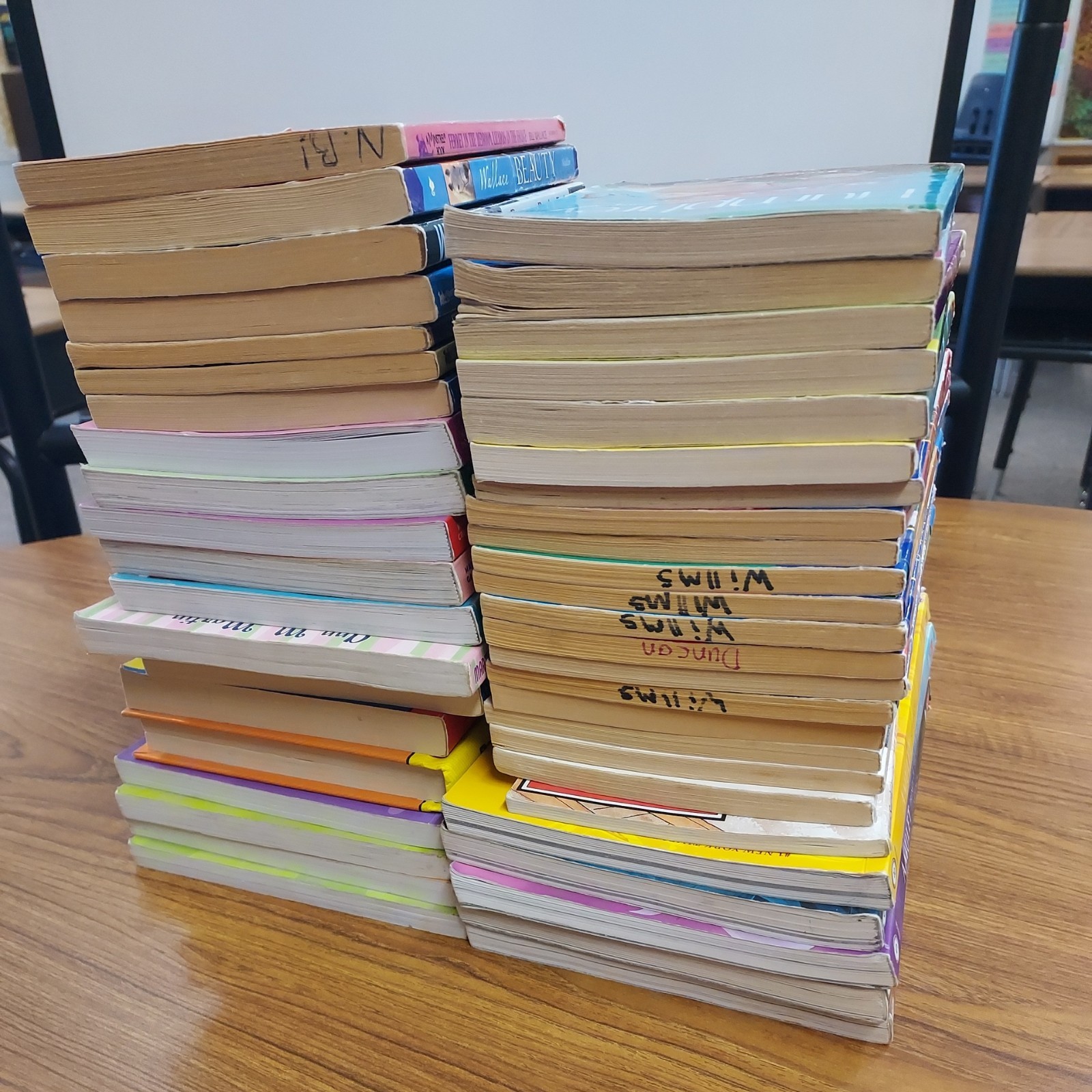 Mixed Lot of 45 Kids Graphix & Chapter Books RL4, Classroom Library Homeschool