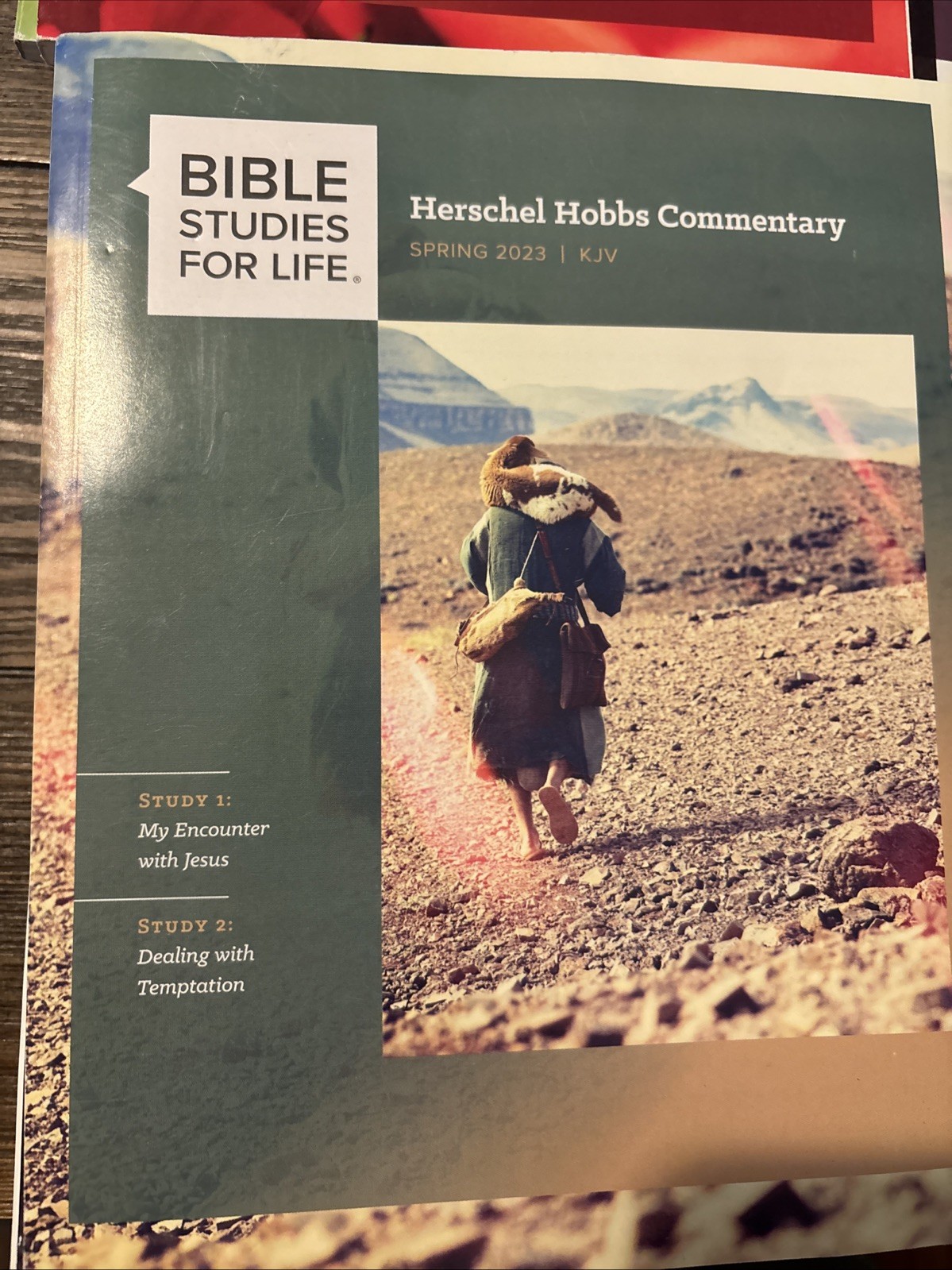Lot of 23 Lifeway Bible Studies for Life KJV Adults & Explore The Bible 2022-25