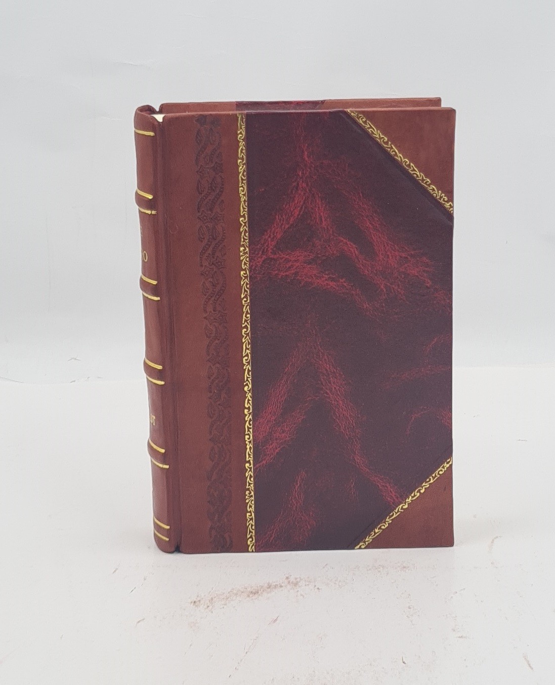 The Negro a menace to American civilization 1907 R. W. Shufeldt [LEATHER BOUND]