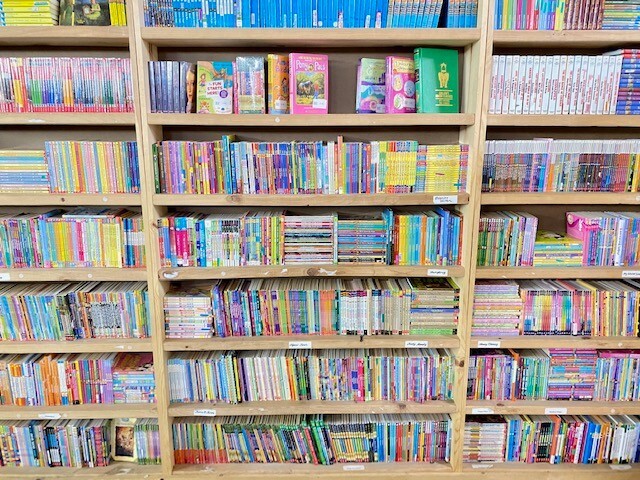 Lot of 30 kids young instant library chapter books bundle paperback – GOOD