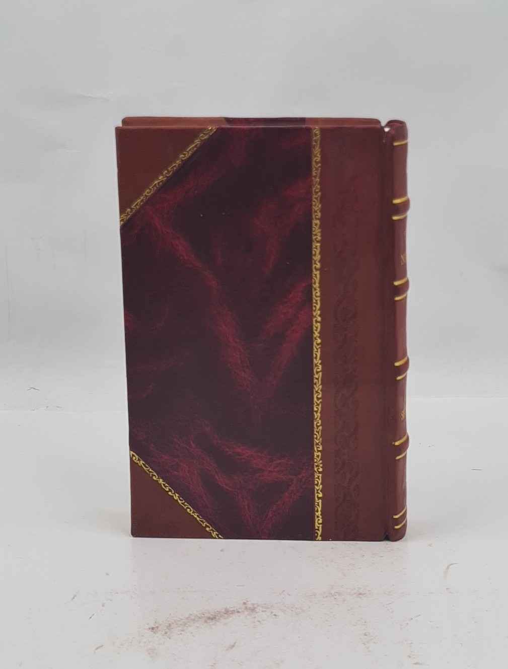 The Negro a menace to American civilization 1907 R. W. Shufeldt [LEATHER BOUND]