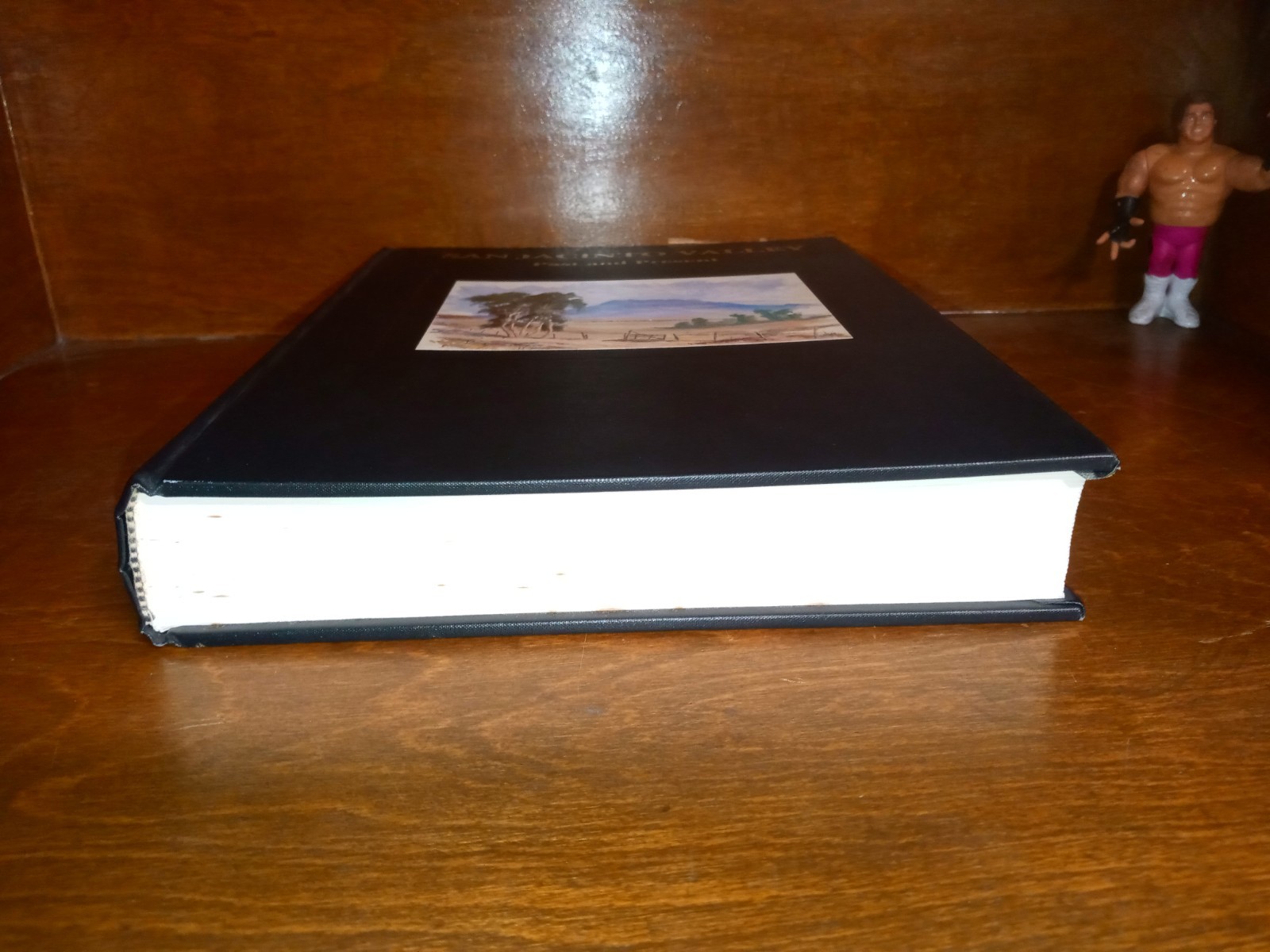 SAN JACINTO VALLEY Past and Present CALIFORNIA Volume I 1989 Hard Cover