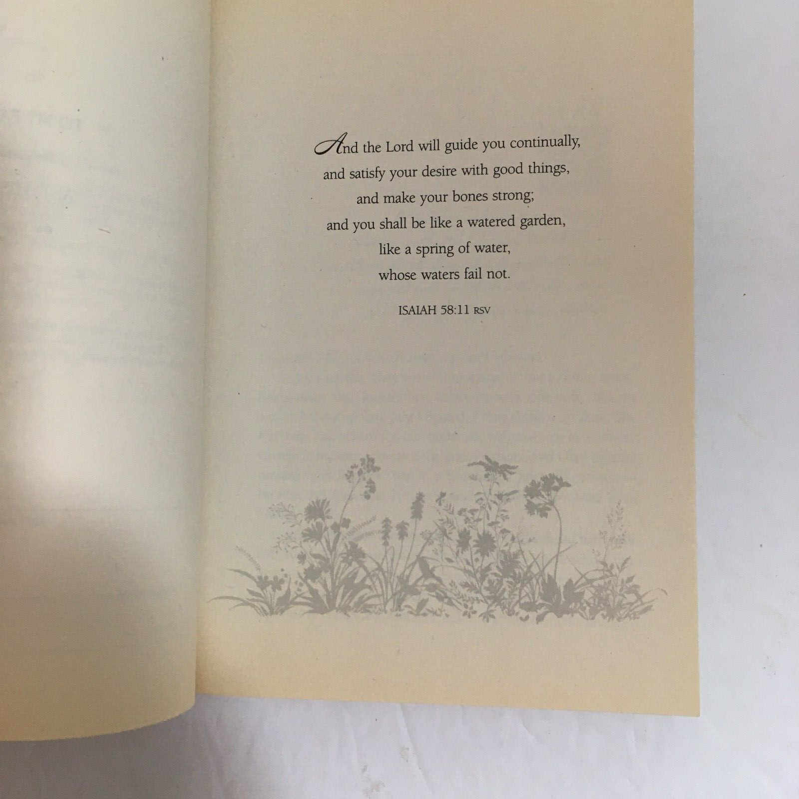 Christian Romance Patti Hill – Like a Watered Garden – Trade PB/Signed