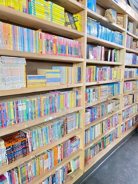 Lot of 30 kids young instant library chapter books bundle paperback – GOOD