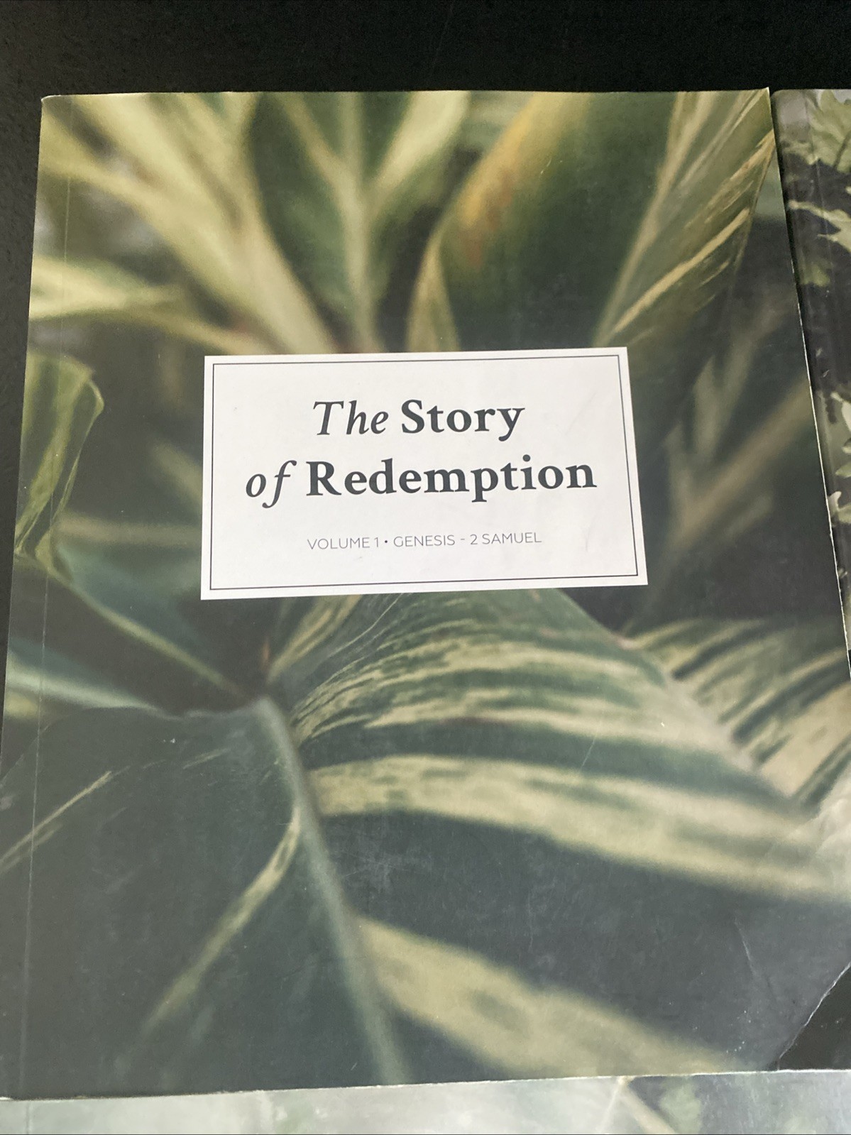 The Story Of Redemption All Volumes 1-4 The Daily Grace Company TPB