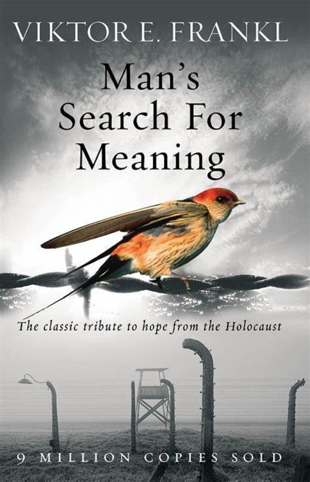 Man’s Search for Meaning by Viktor E Frank (English, Paperback) Brand New Book