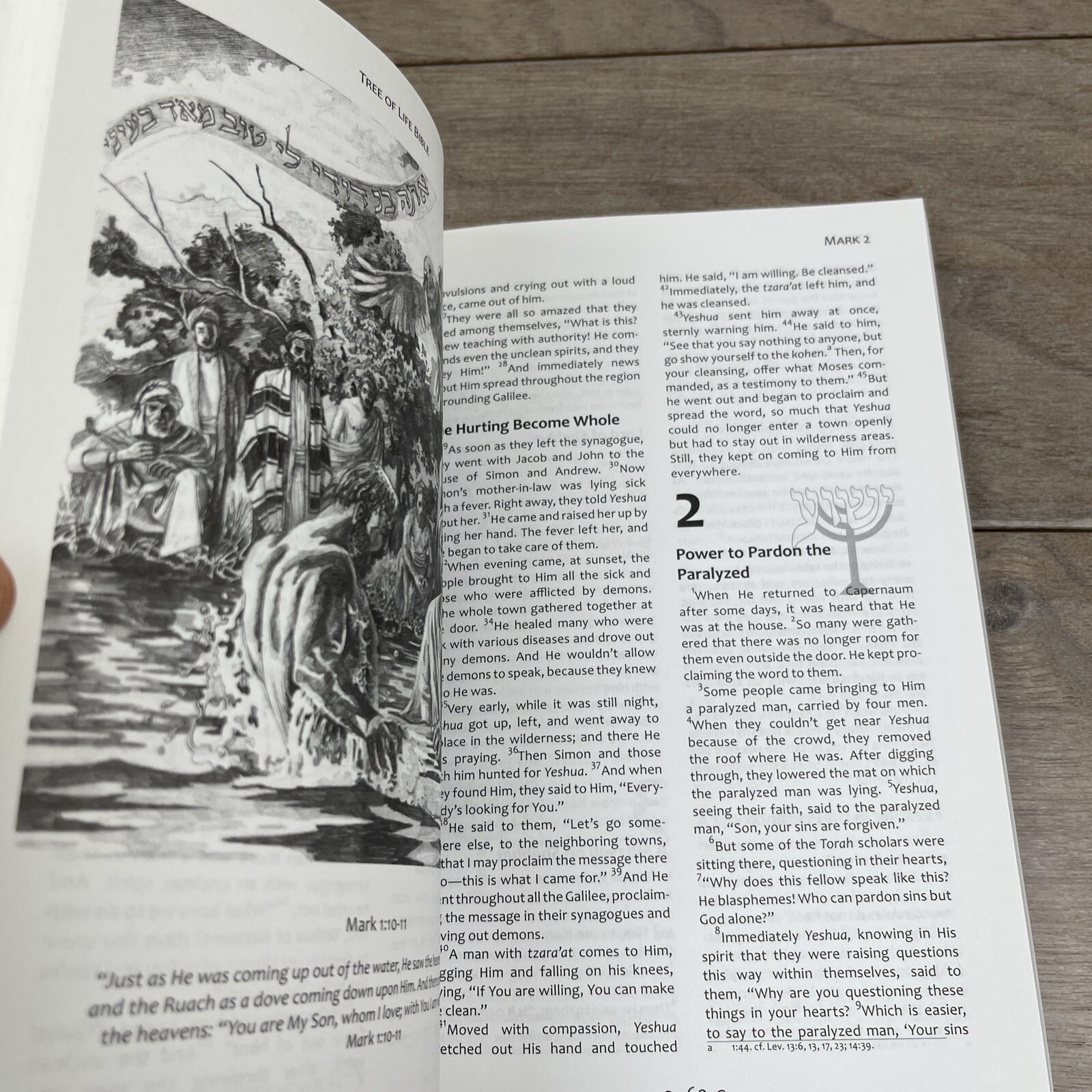 Tree of Life Bible: The Gospels (Messianic Jewish Family Bible Project), Messian