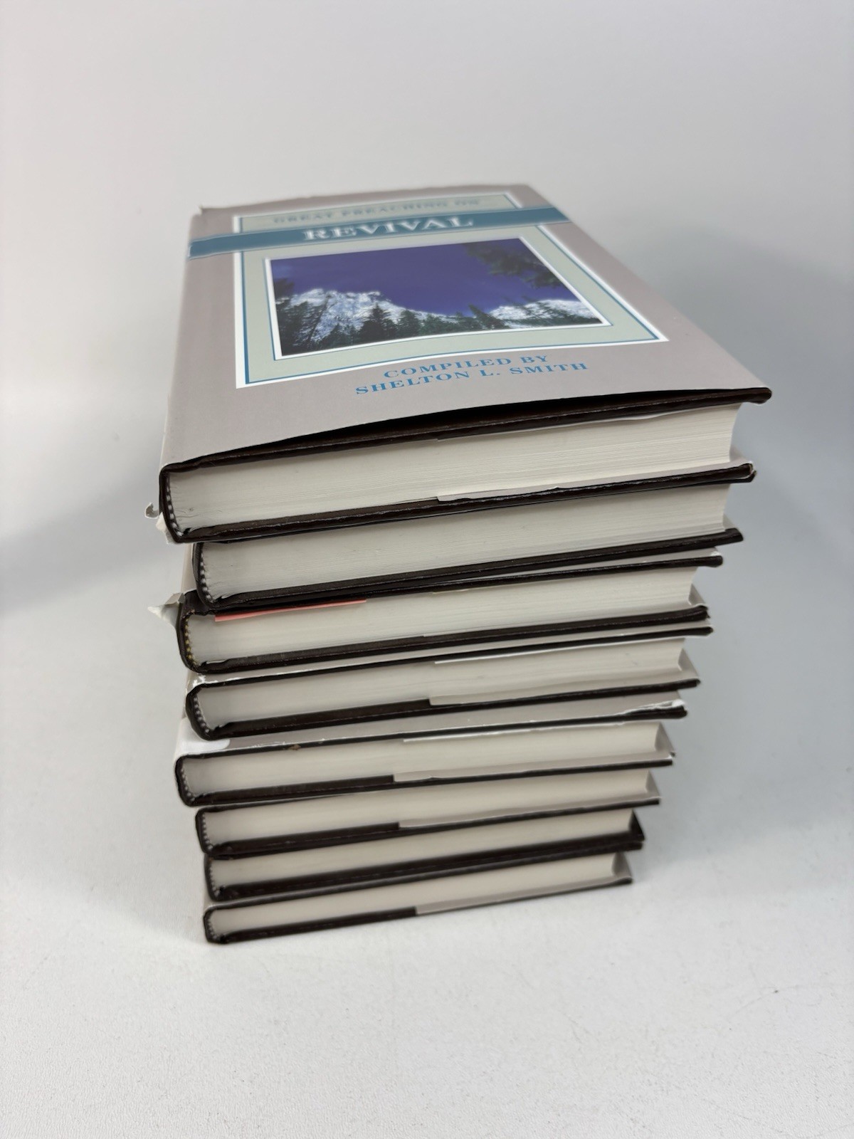 Lot of 8 Great Preaching Of Bible Series Book Bundle, Resurrection Hell Revival
