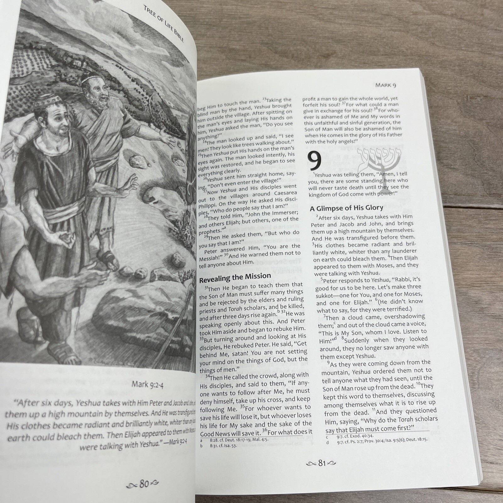 Tree of Life Bible: The Gospels (Messianic Jewish Family Bible Project), Messian