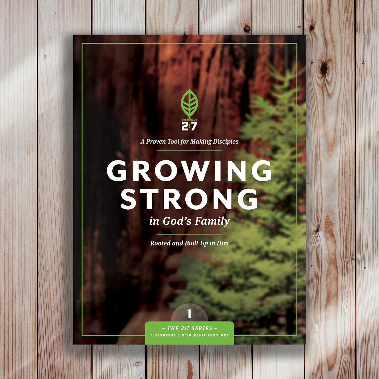 Strengthen Your Faith: Rooted in God’s Family (The 2:7 Series)