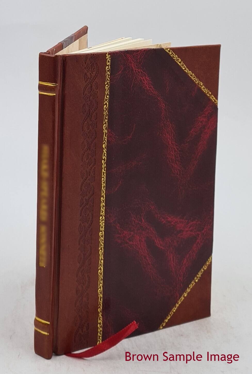 Physiological Psychology 1913 By William Mcdougall [Leather Bound]
