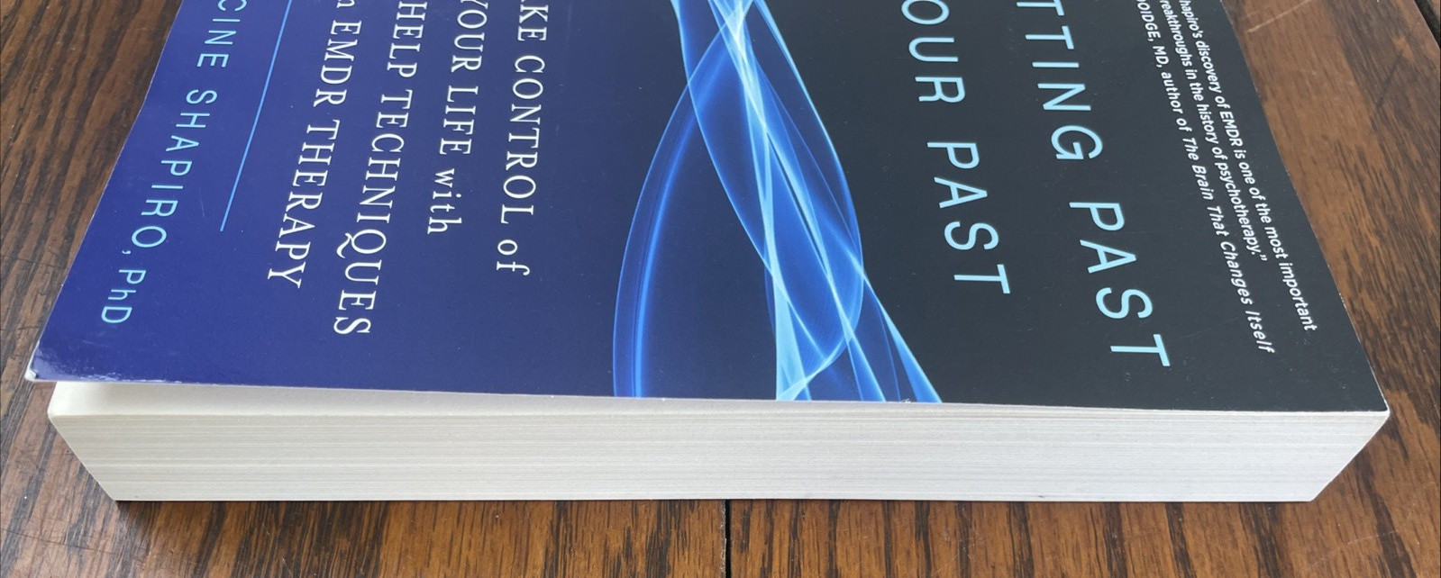 Getting Past Your Past : Take Control of Your Life with Self-Help Techniques…
