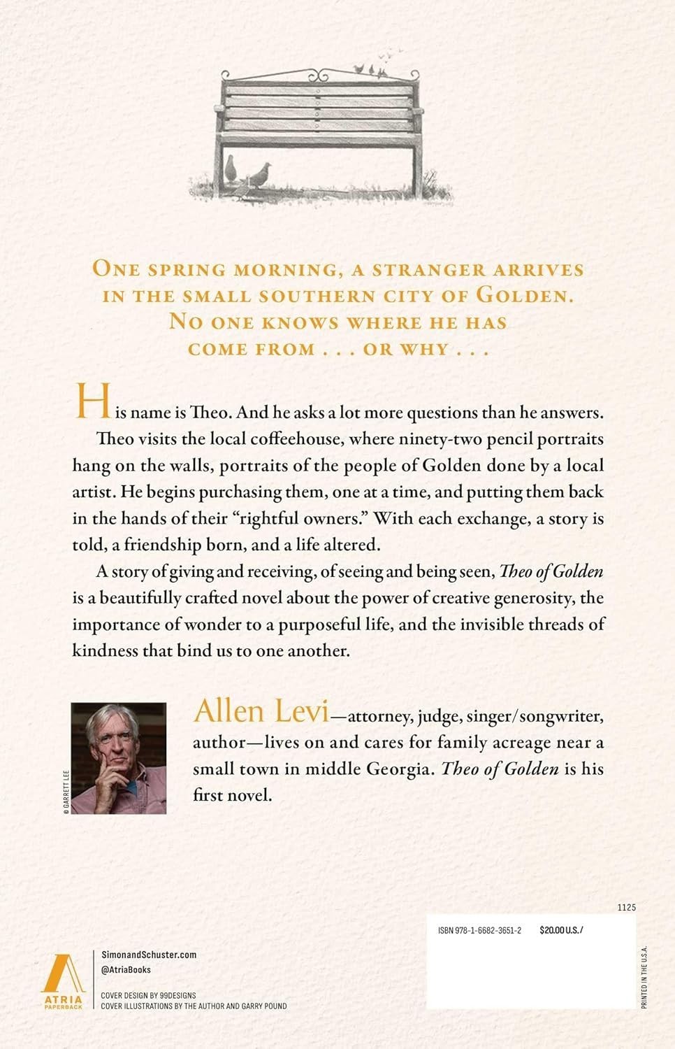 Perfect Book for Gift – Theo of Golden : A Novel by Allen Levi ,2025, Paperback