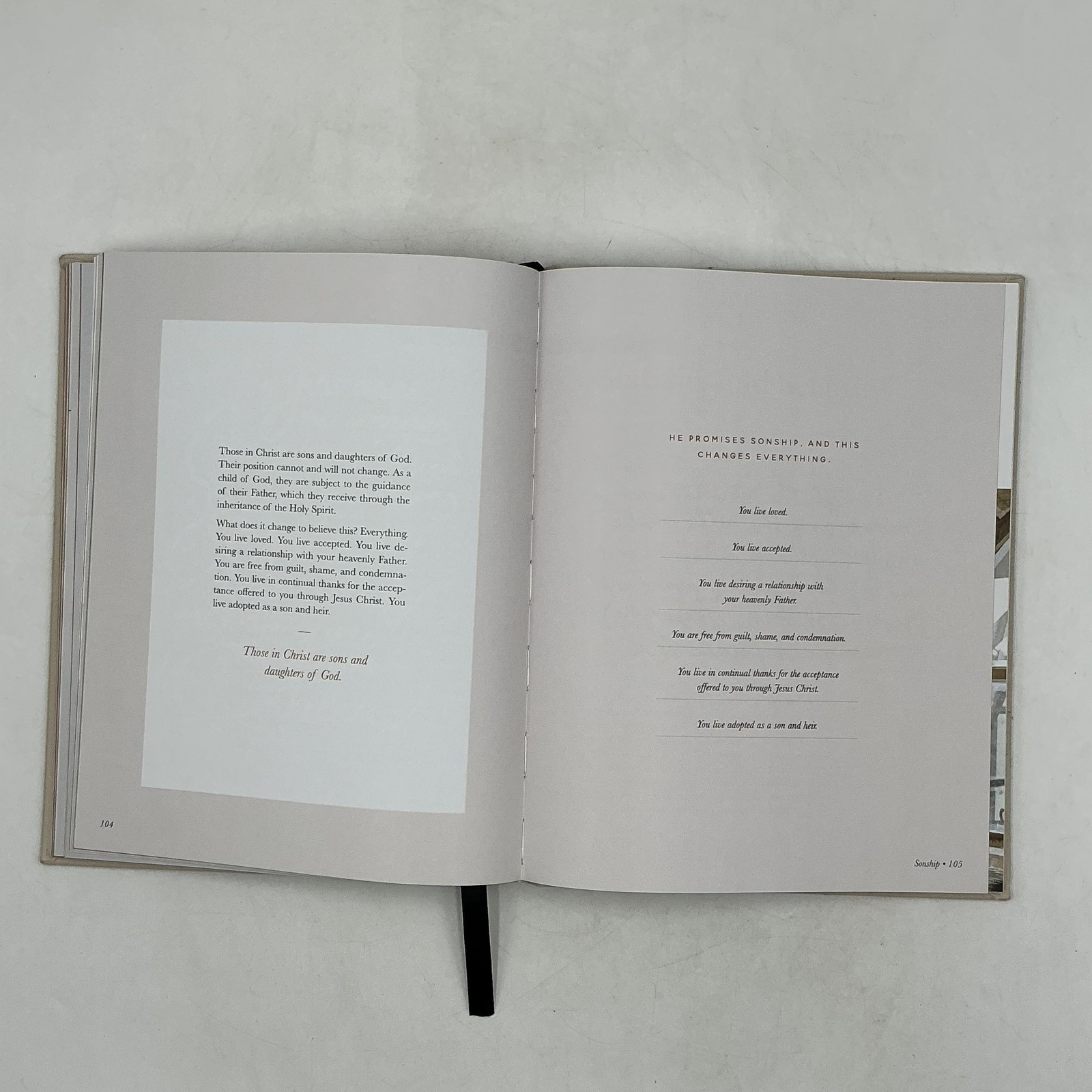 The PROMISES Of God By The Daily Grace Co. Hardcover Beige – Religious Book