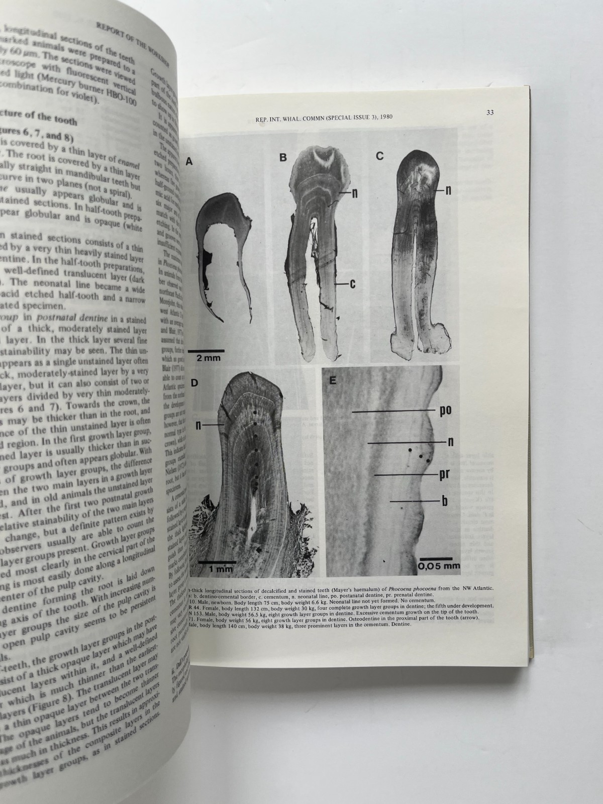 Age Determination of Toothed Whales and Sirenians ~ Whaling Commission 1980