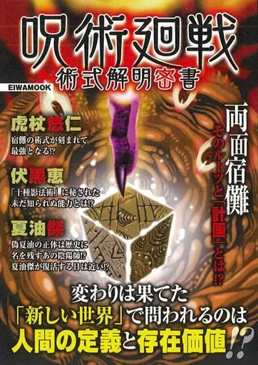 Jujutsu Kaisen Art Book Anime Technique Guide 224 Pages