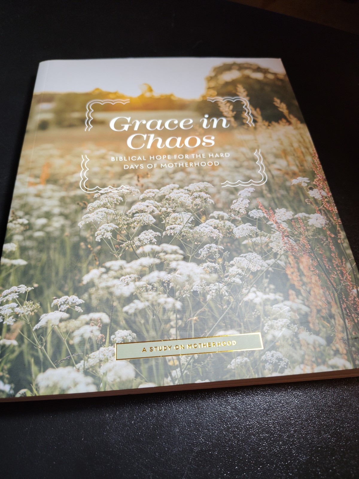 Grace in Chaos The Daily Grace Co. 2017 Biblical Hope Motherhood Study Guide EXC