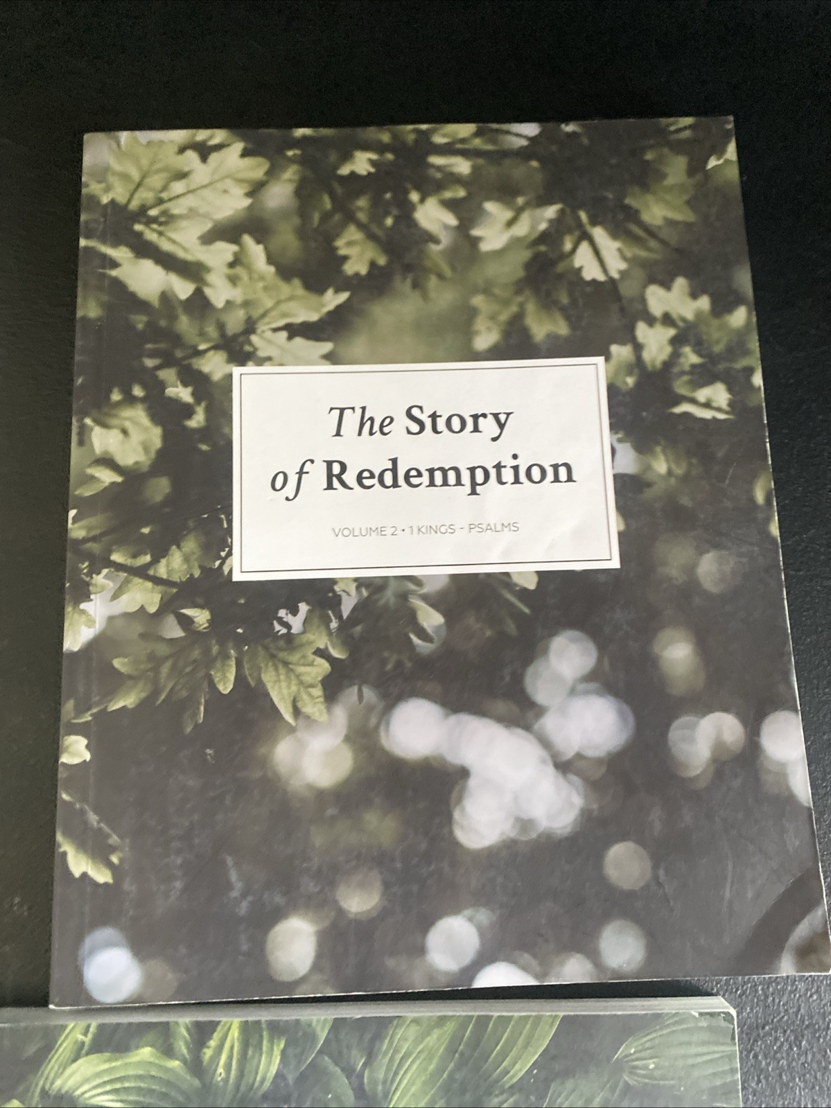 The Story Of Redemption All Volumes 1-4 The Daily Grace Company TPB