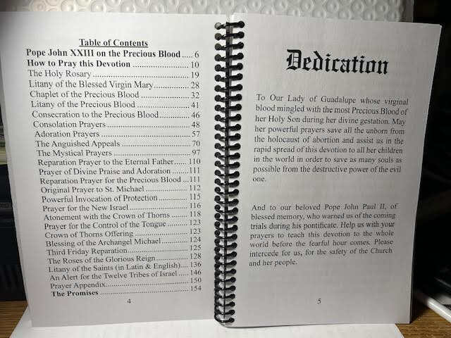 Precious Blood of Jesus Daily Devotional SPIRAL (NEW LARGE PRINT!) Restocked!