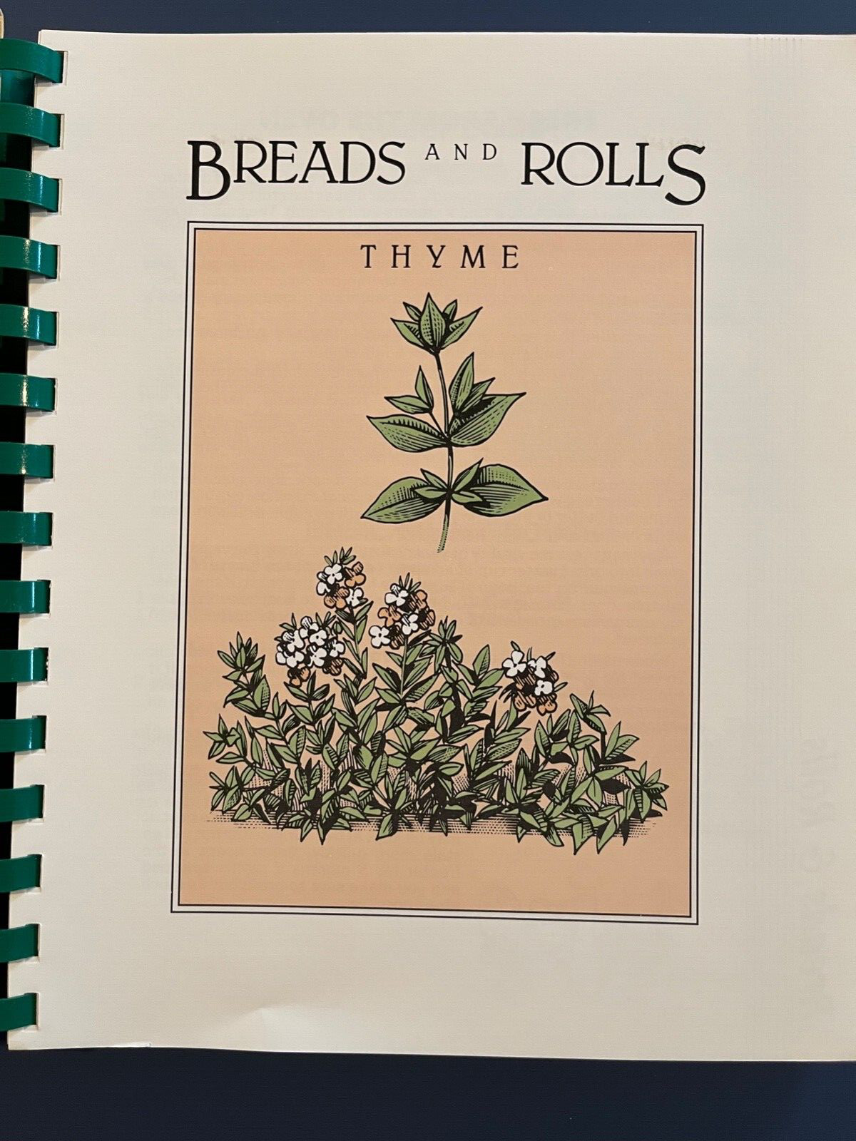Arlington Minnesota MN Hospital Auxiliary Recipes Cookbook–208 pages