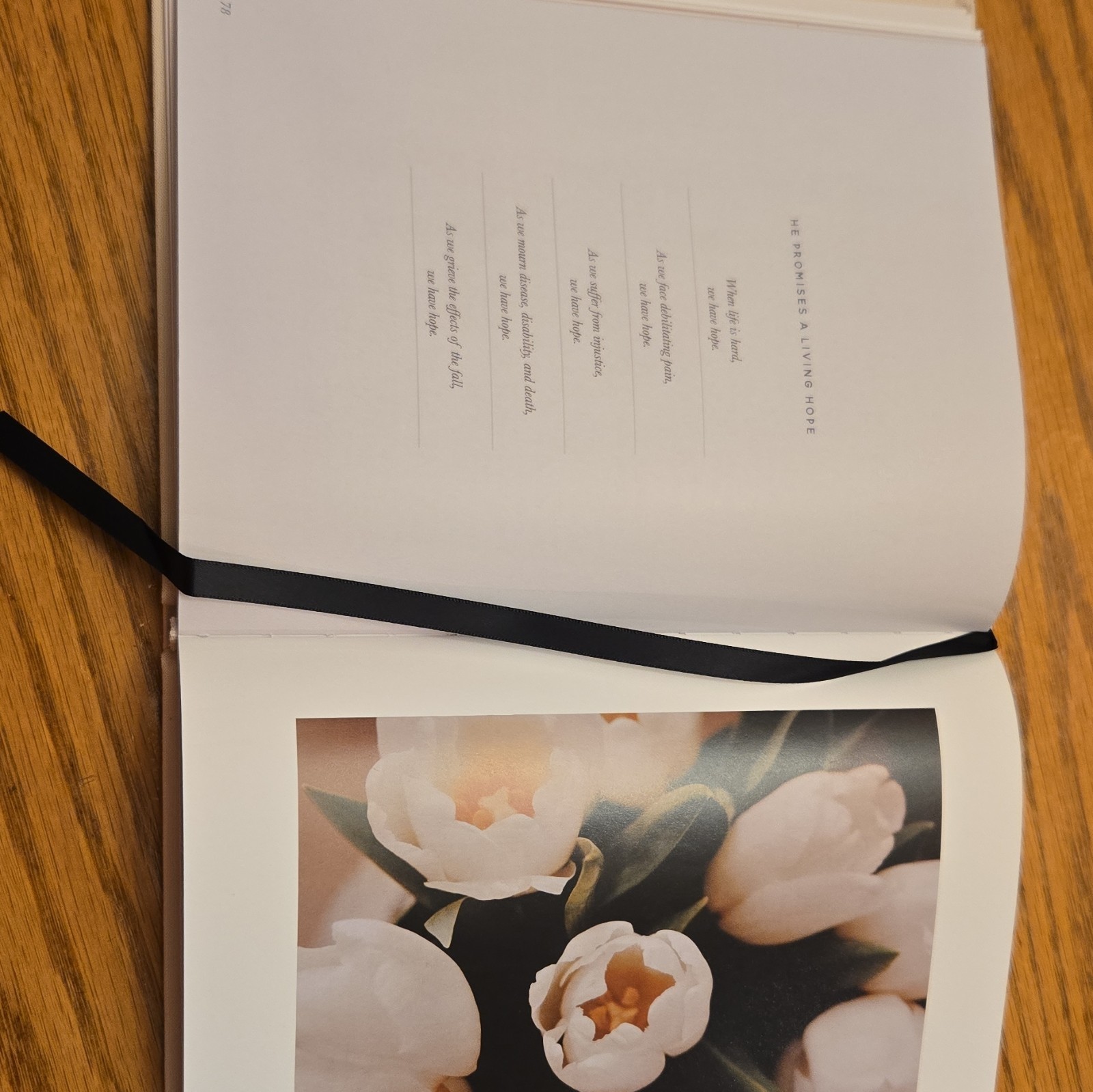 The Promises of God – Daily Grace Co. Hardcover 2017 Devotional Gift Book w/ Rib